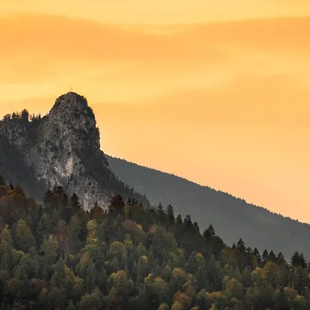 Alpini In