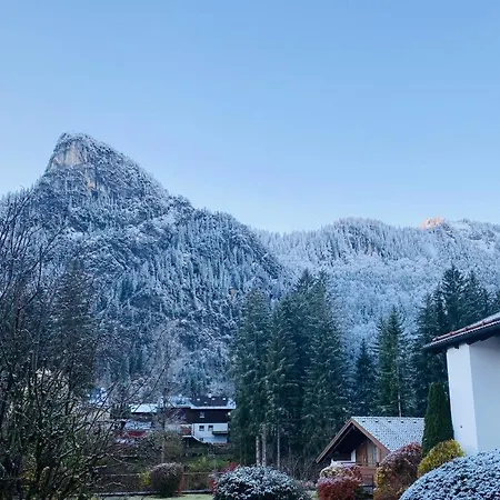 Alpini In Daire
